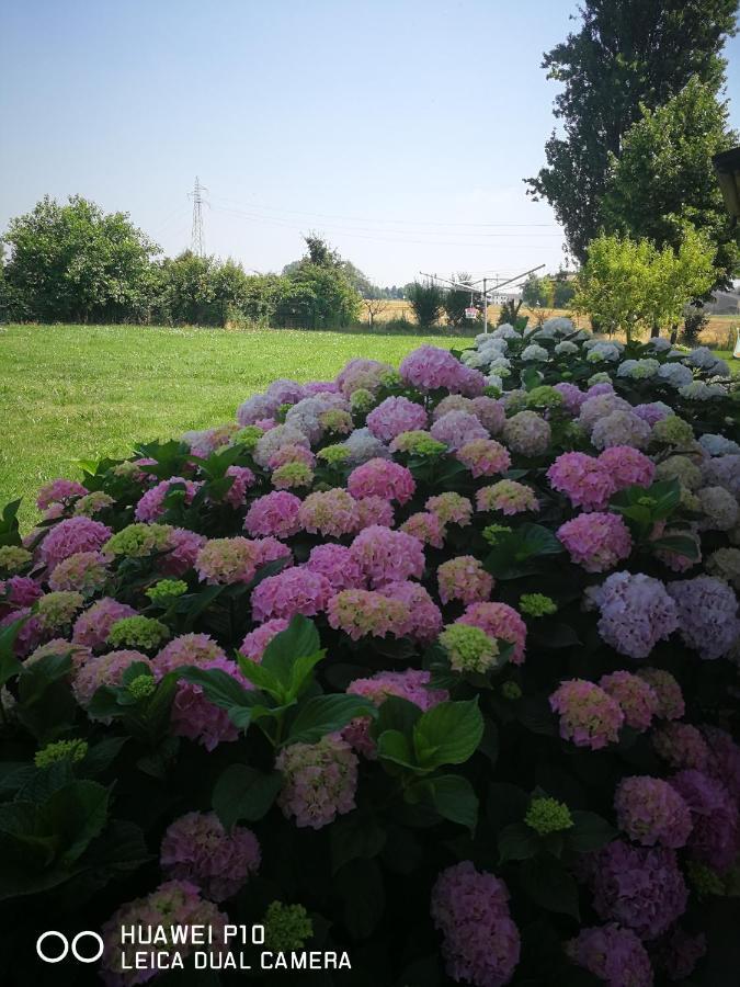 Corte Ventaglio Campitello  Екстериор снимка